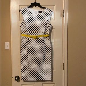 Tahari polka dot, sheath dress, 12